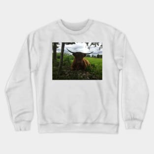 Scottish Highland Cattle Cow 2013 Crewneck Sweatshirt